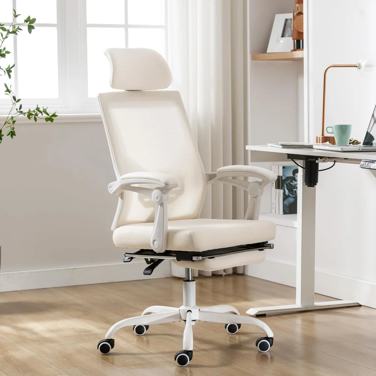 Ergonomic Office Chairs